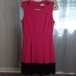 Calvin Klein Sleeveless Pink & Black A line Pleated Dress